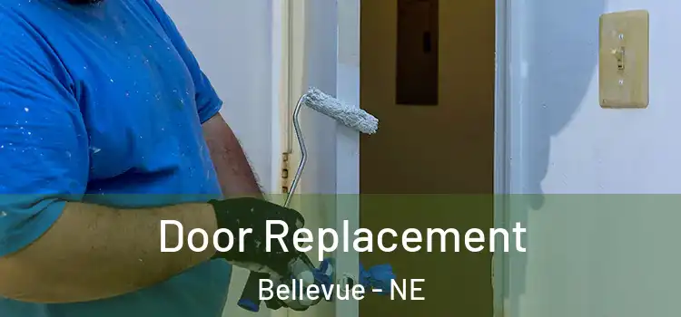 Door Replacement Bellevue - NE