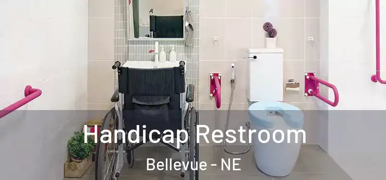 Handicap Restroom Bellevue - NE