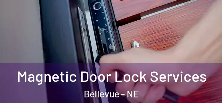 Magnetic Door Lock Services Bellevue - NE