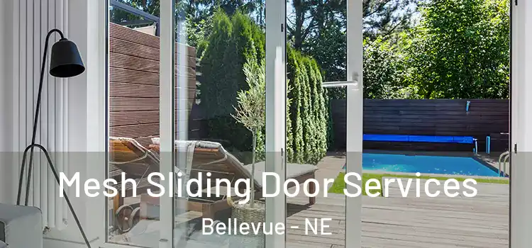 Mesh Sliding Door Services Bellevue - NE