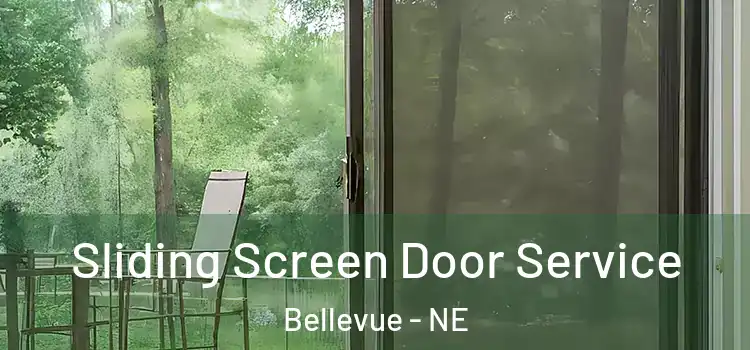 Sliding Screen Door Service Bellevue - NE